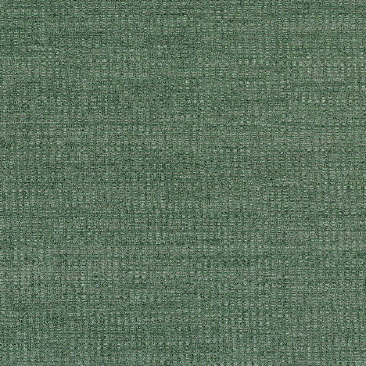 Casamance behang Sisalana Deserti 70854170 vert provence (staal)