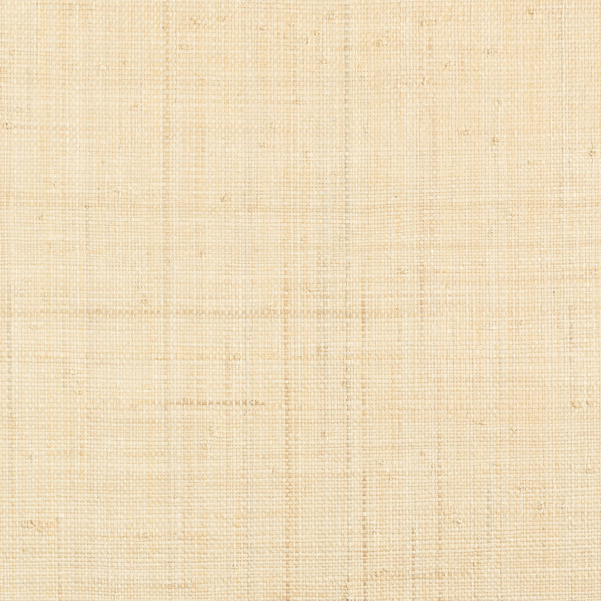 Casamance behang Tramis Palawan 71170337 naturel (staal)