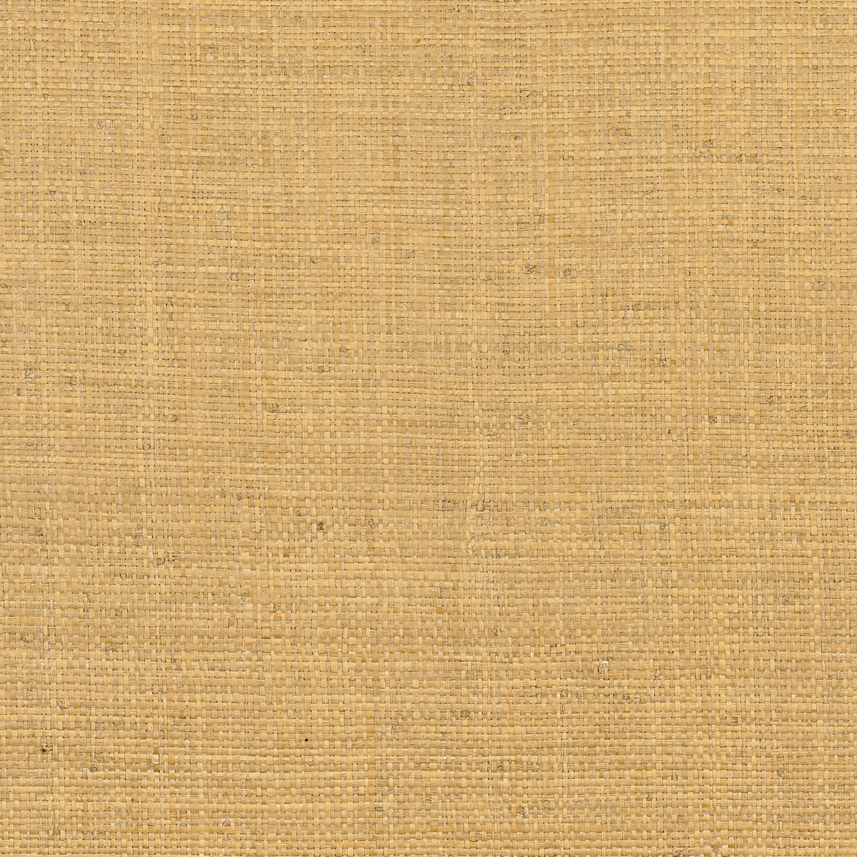 Casamance behang Tramis Palawan 71170557 curry (staal)