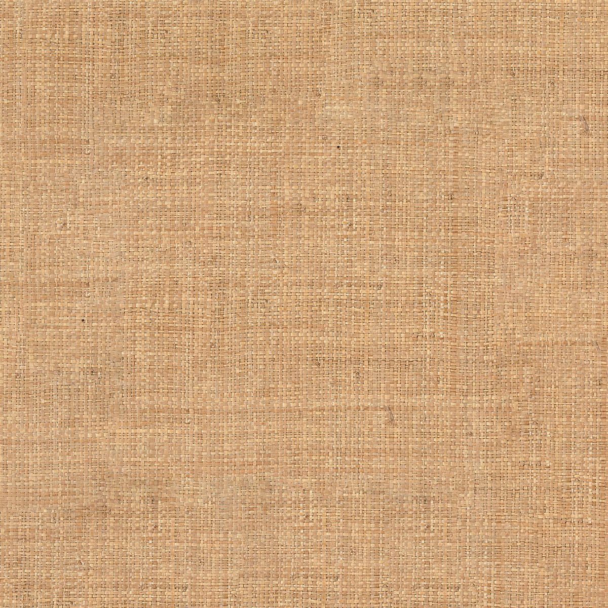 Casamance behang Tramis Palawan 71170667 bois de rose