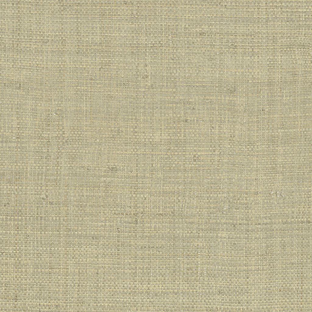 Casamance behang Tramis Palawan 71170887 tilleul