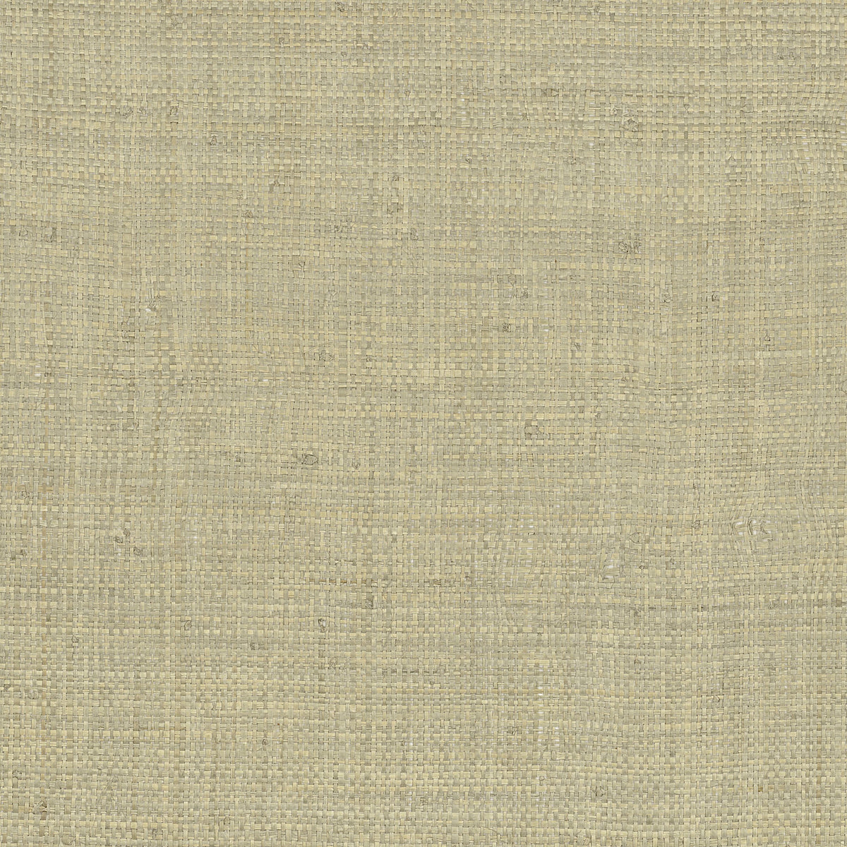 Casamance behang Tramis Palawan 71170887 tilleul
