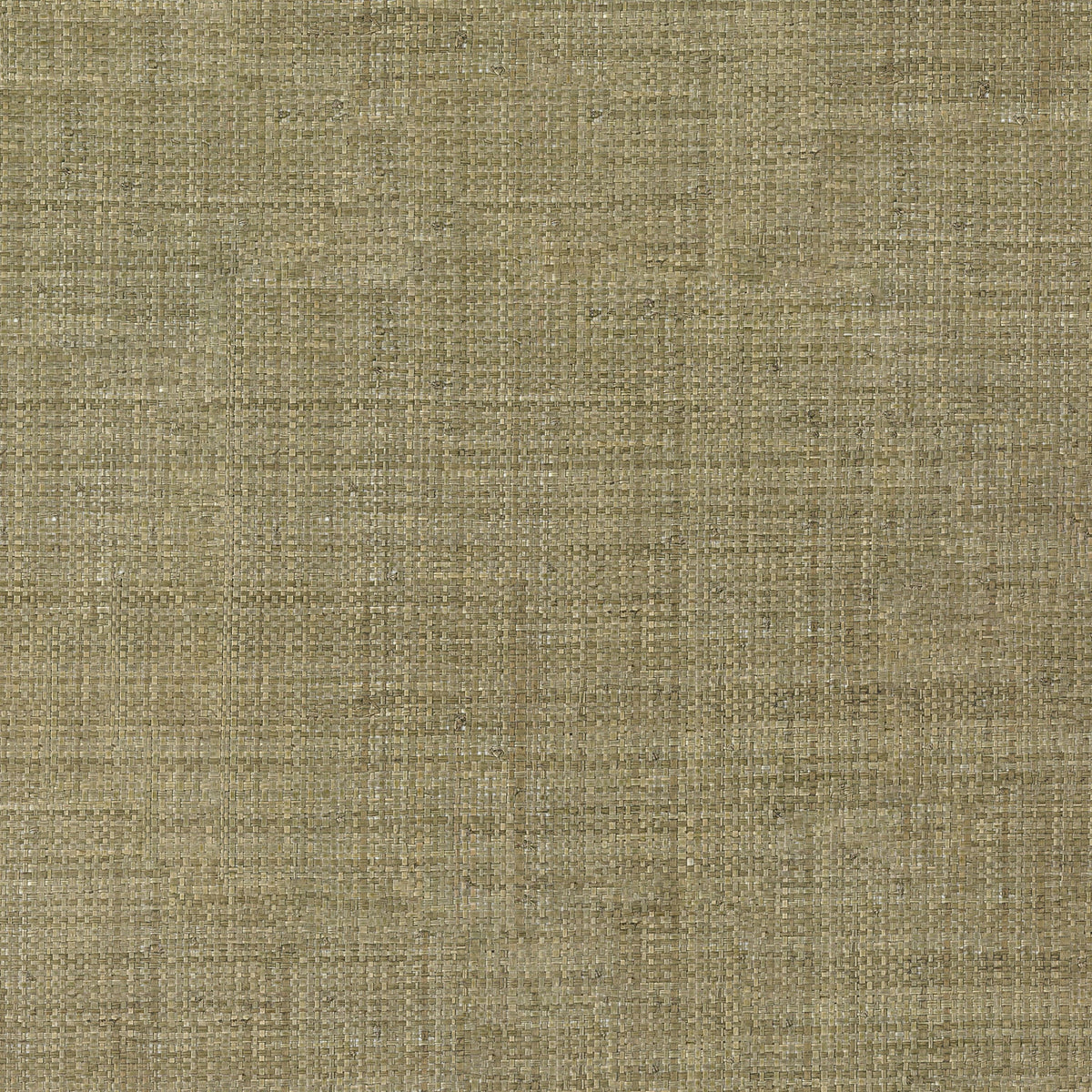 Casamance behang Tramis Palawan 71170997 amande (staal)