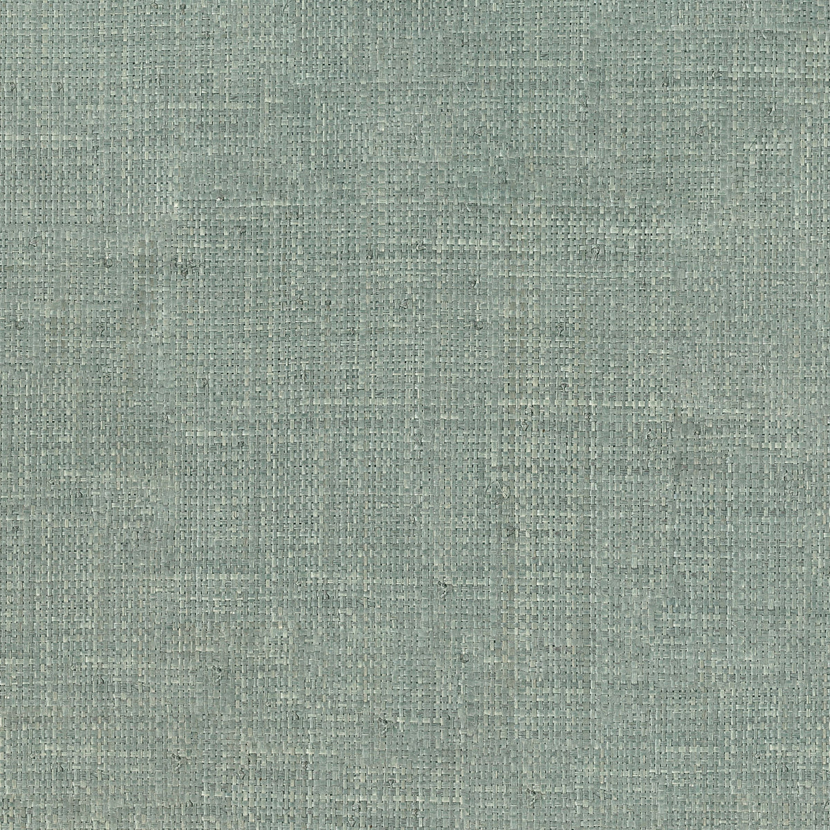 Casamance behang Tramis Palawan 71171111 céladon (staal)