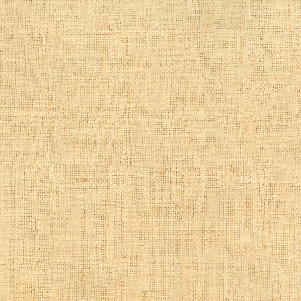 Casamance behang Tramis Palawan 71171609 naturel foncé