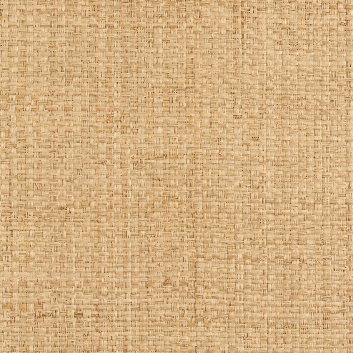Casamance behang Solal Kamoro 71180299 naturel (staal)
