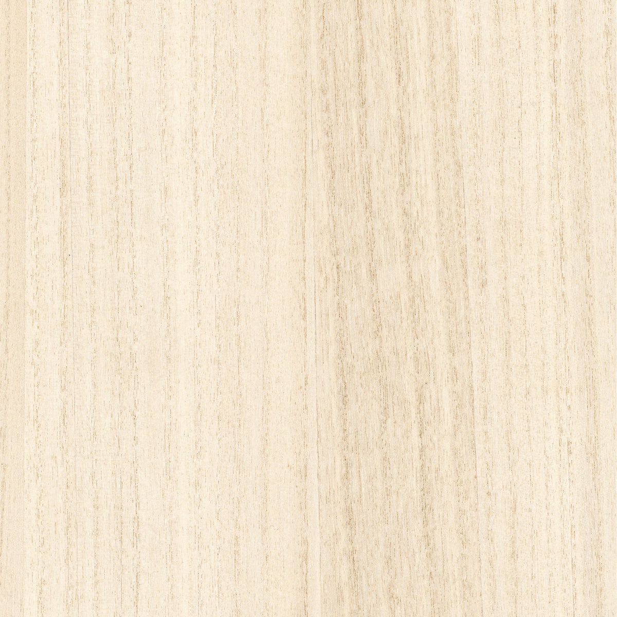 Casamance behang Traversée Ebony 71740508 ivoire (staal)