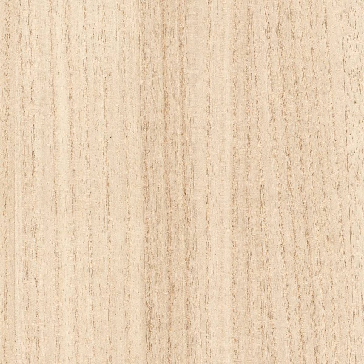 Casamance behang Traversée Ebony 71740610 sable (staal)