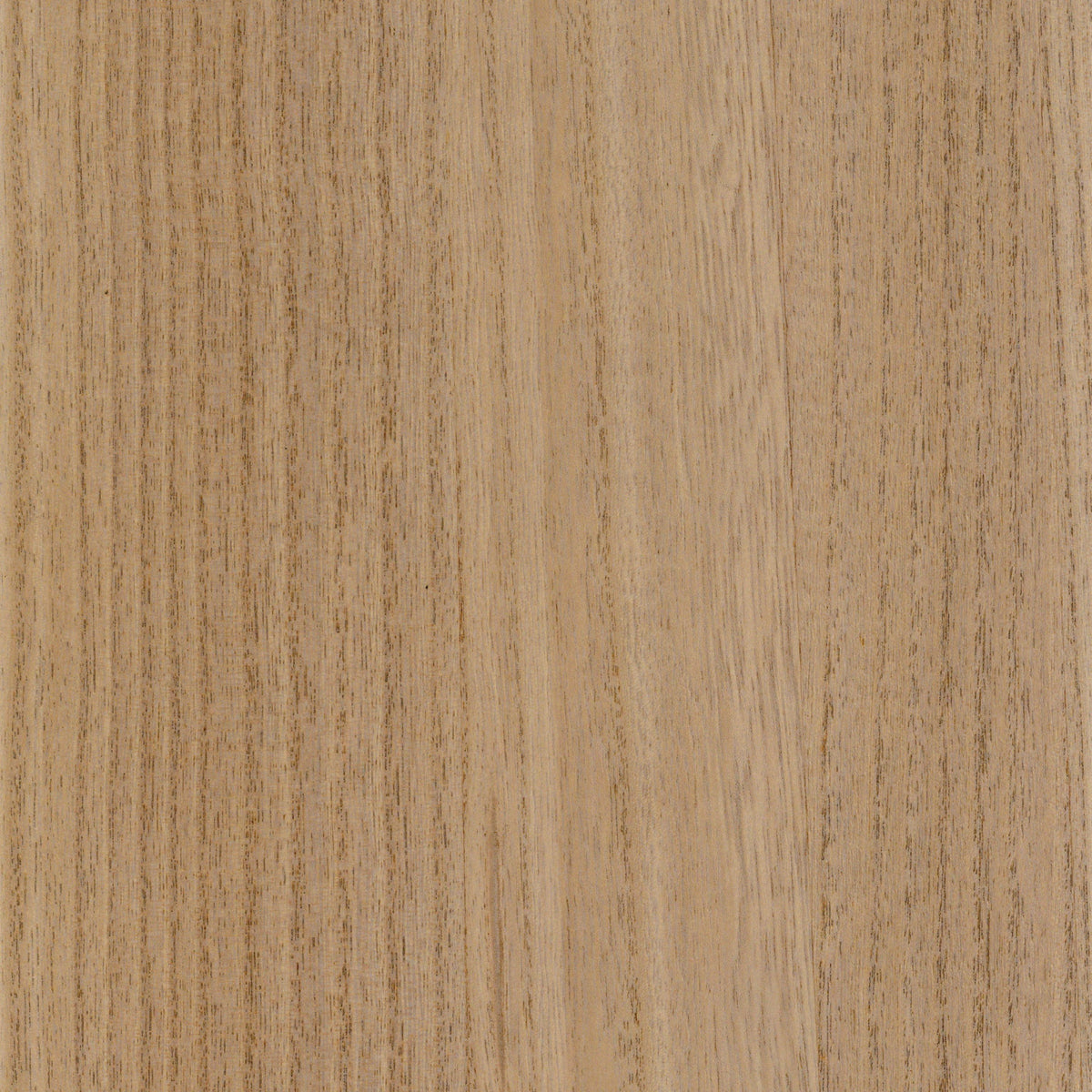Casamance behang Traversée Ebony 71740712 chêne clair