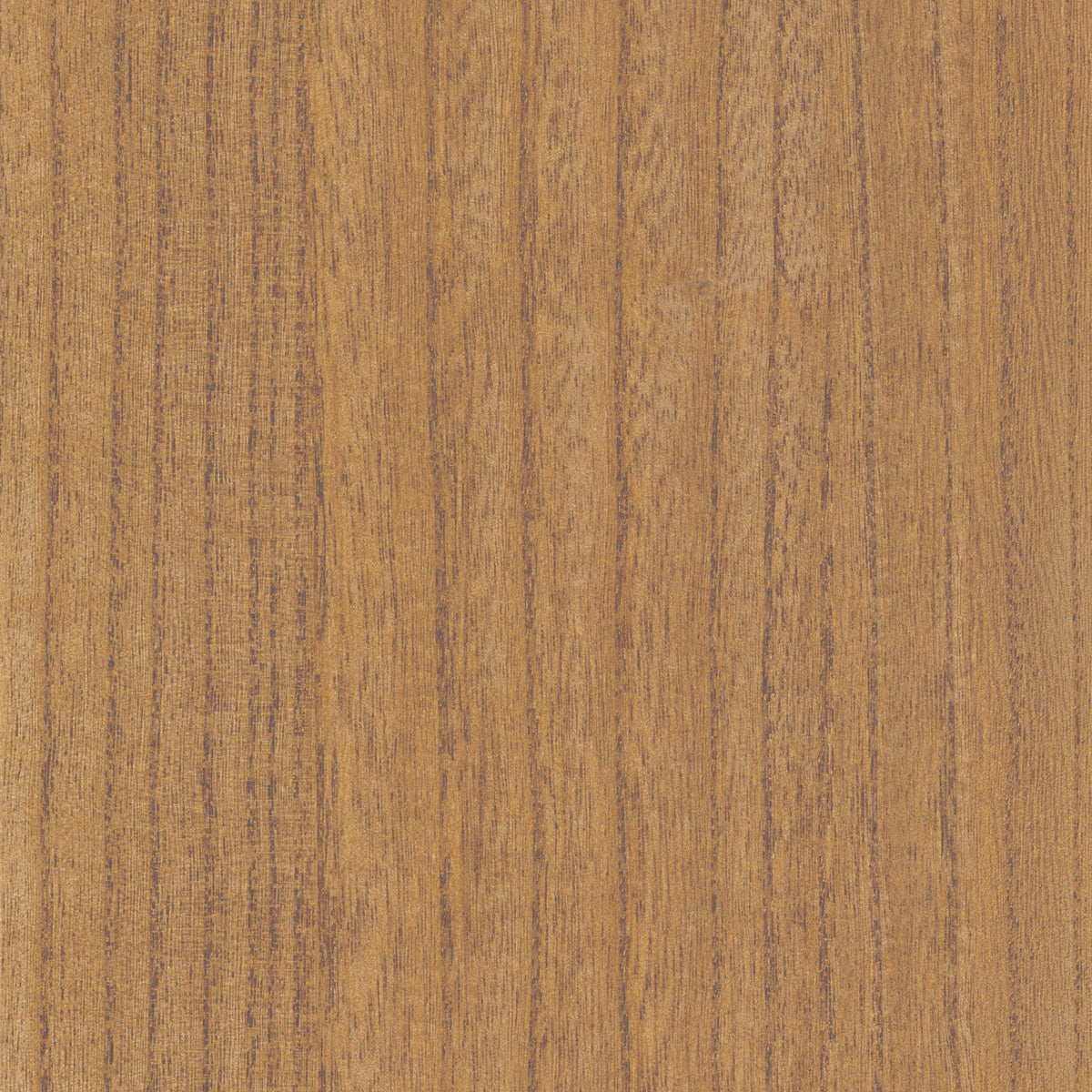 Casamance behang Traversée Ebony 71740814 chêne doré (staal)