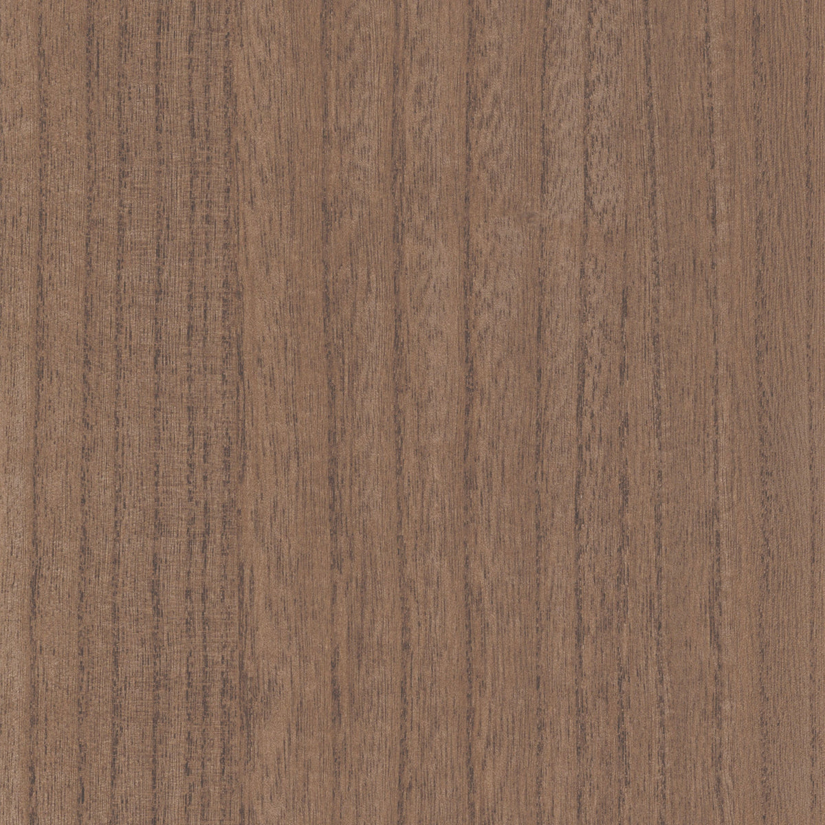 Casamance behang Traversée Ebony 71741018 acajou (staal)
