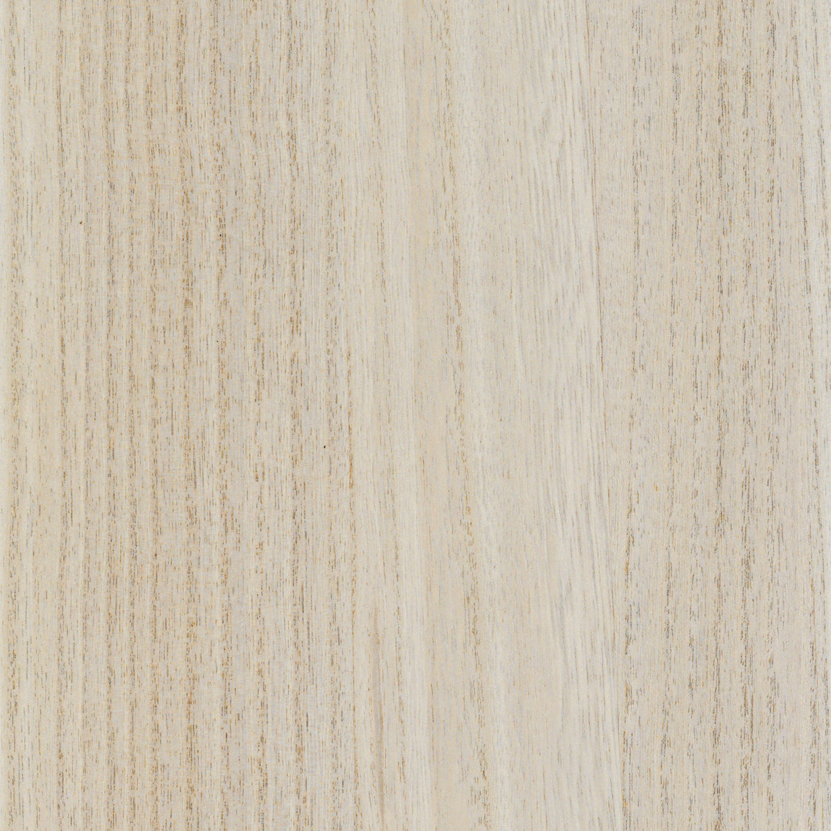 Casamance behang Traversée Ebony 71741324 gris cendré