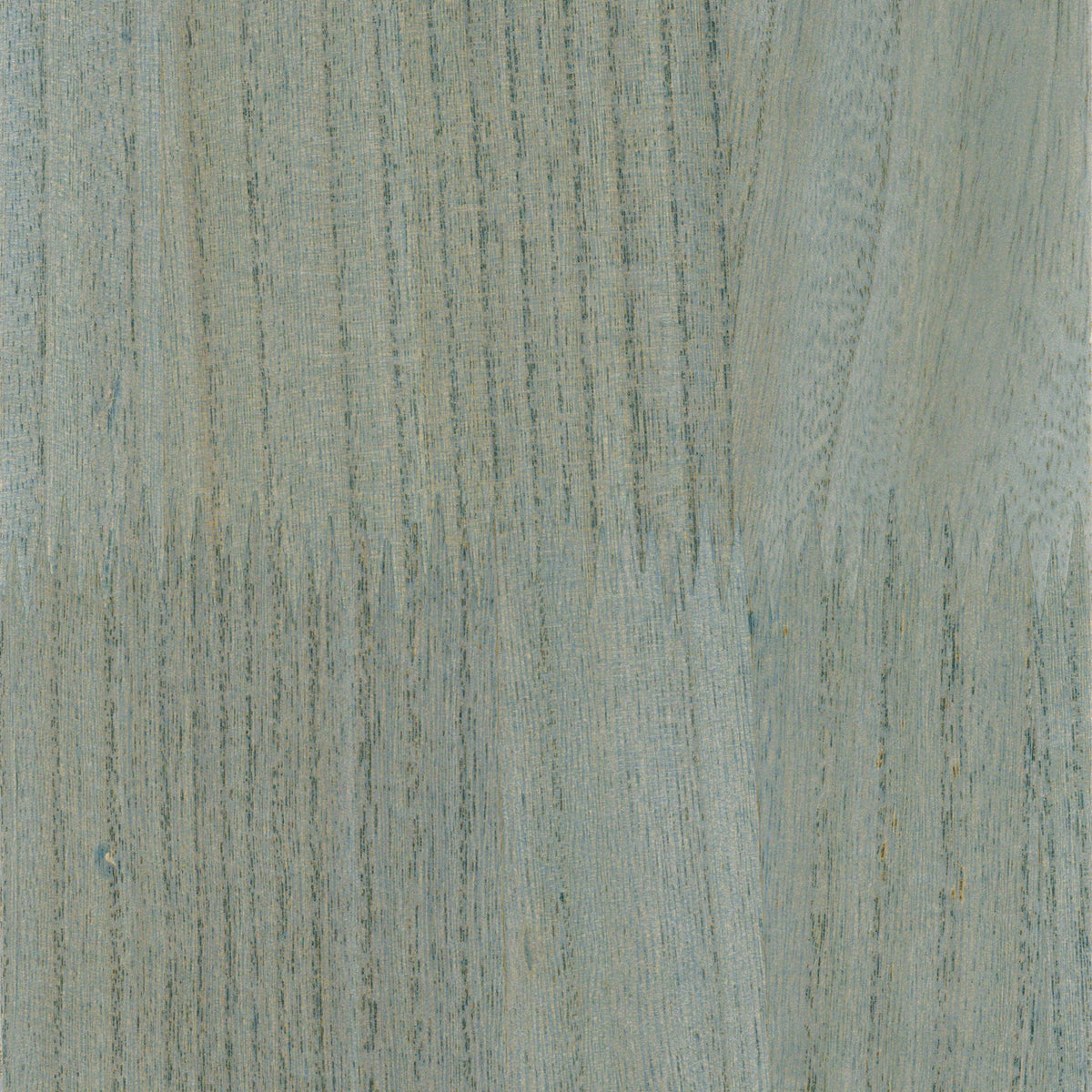 Casamance behang Traversée Ebony 71741426 pierre bleue