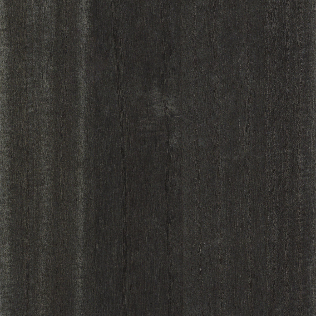 Casamance behang Traversée Ebony 71741528 carbone (staal)