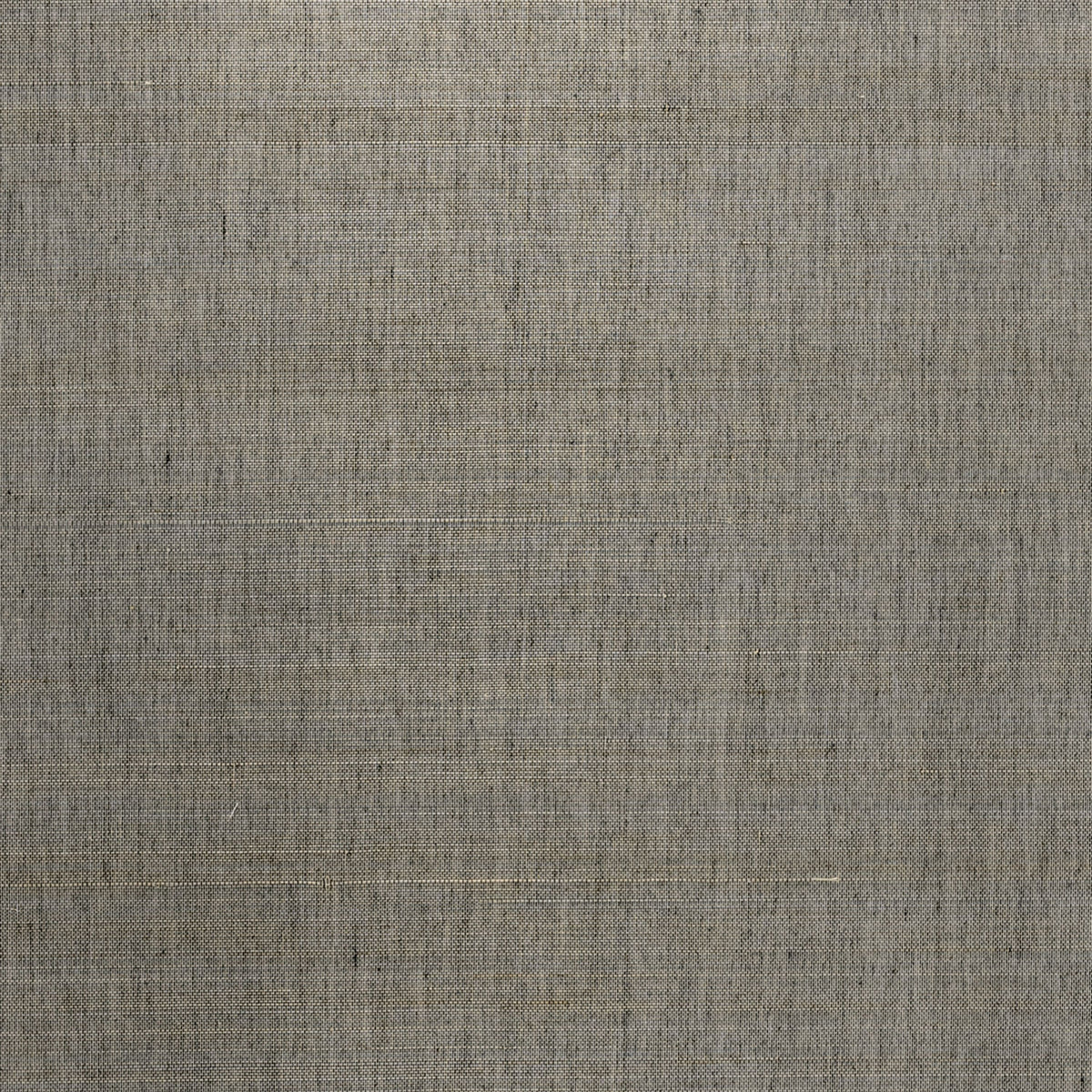 Casamance behang Odeon Abaca 71801003 argent (staal)