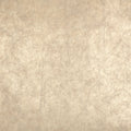 Casamance behang Impulsion Oxea 71880222 sable platine