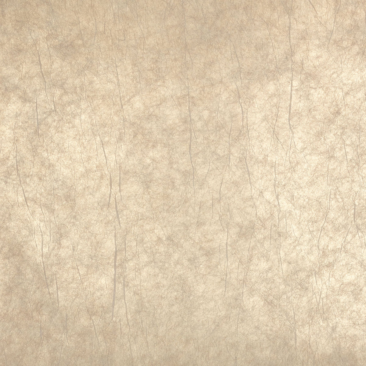 Casamance behang Impulsion Oxea 71880222 sable platine