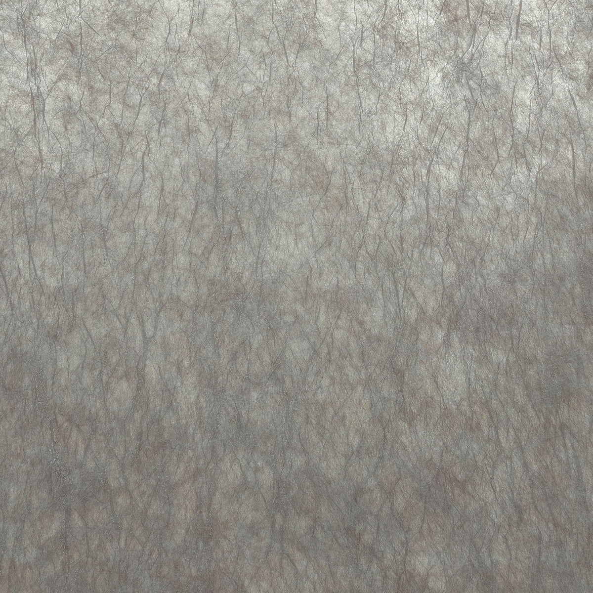 Casamance behang Impulsion Oxea 71880533 gris nuage argenté (staal)