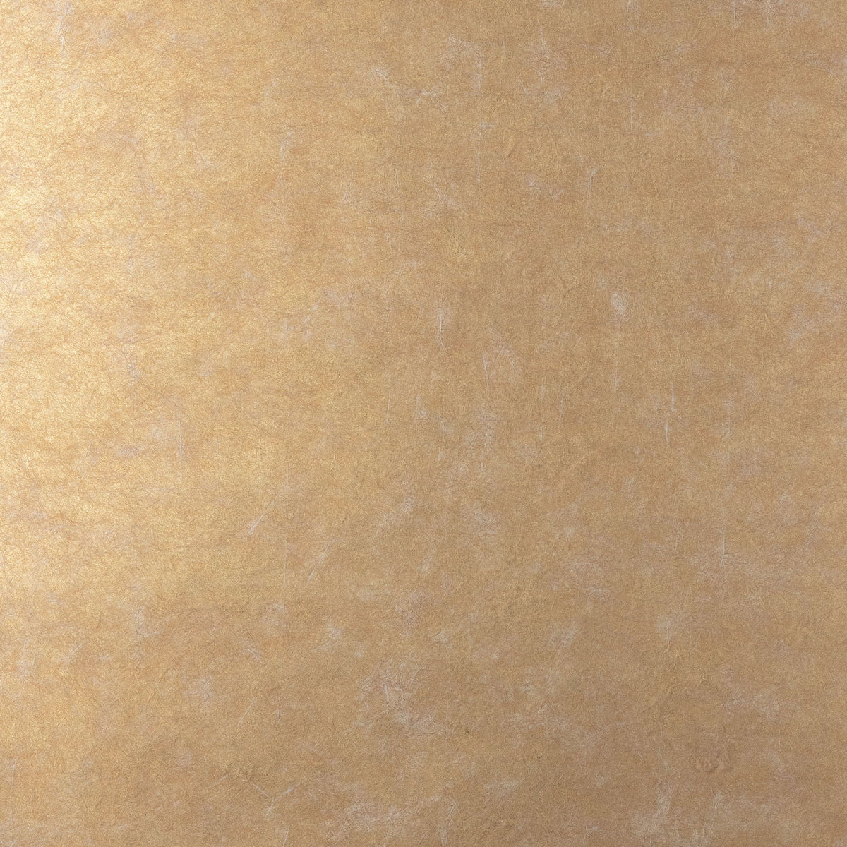 Casamance behang Impulsion Oxea 71880777 doré