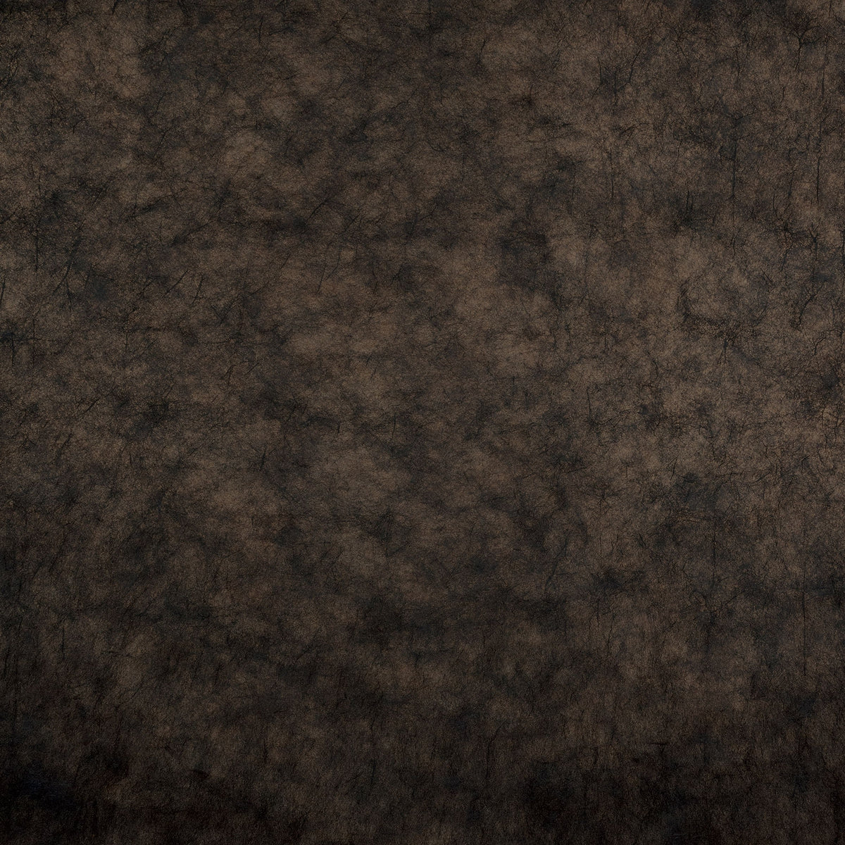 Casamance behang Impulsion Oxea 71881199 noir de lune doré (staal)