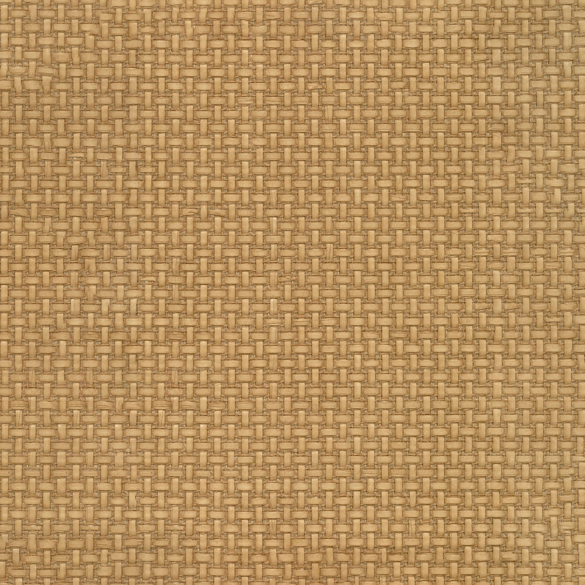 Casamance behang Tramis Fibrosa 71920435 ambre (staal)