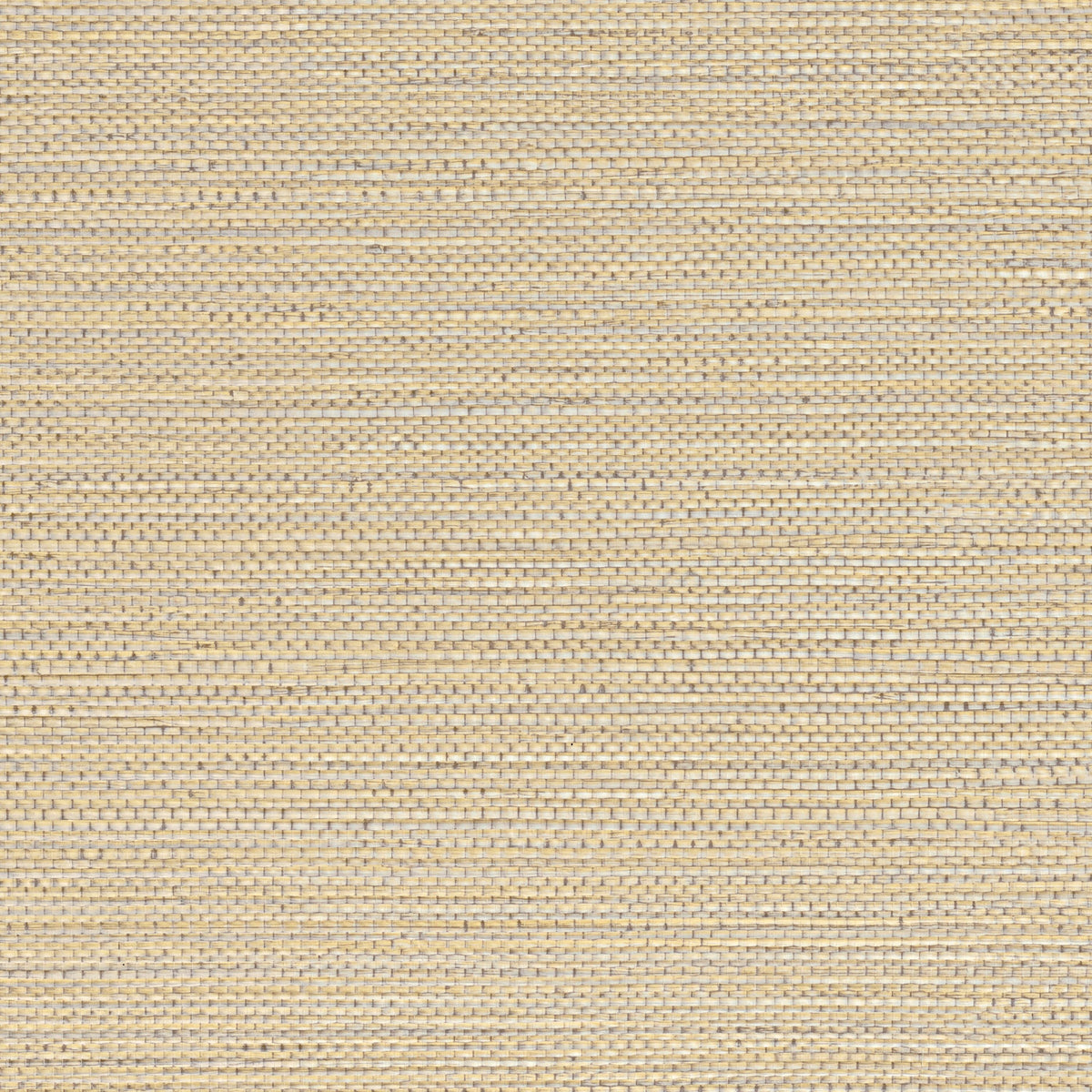 Casamance behang Golfe du Bengale Zostera 75971630 travertin