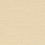 Casamance behang Golfe du Bengale Zostera 75971834 coquille