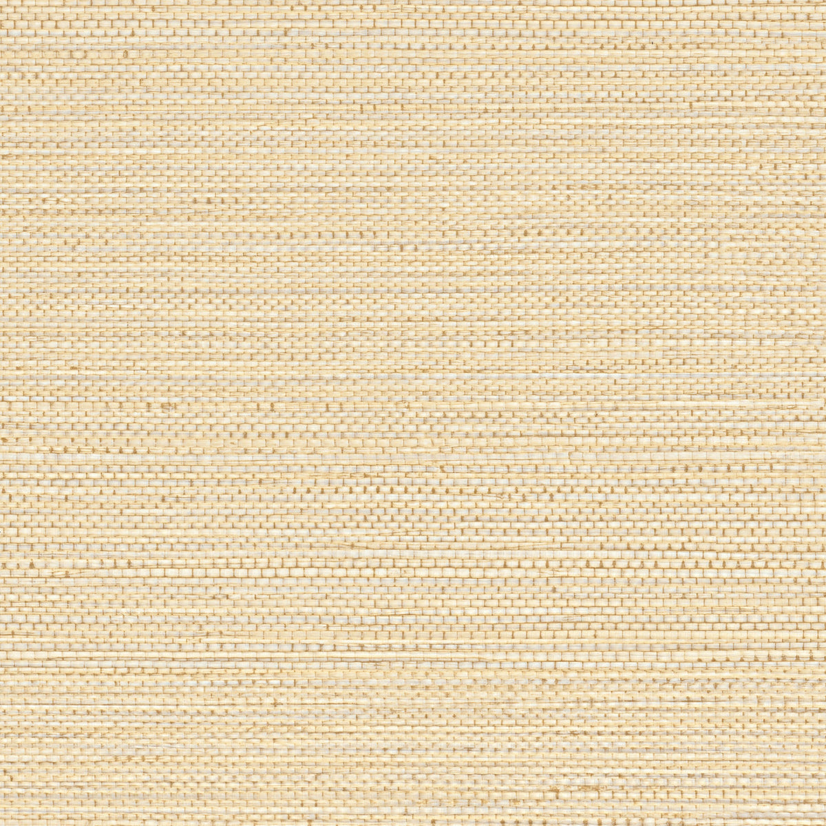 Casamance behang Golfe du Bengale Zostera 75971834 coquille