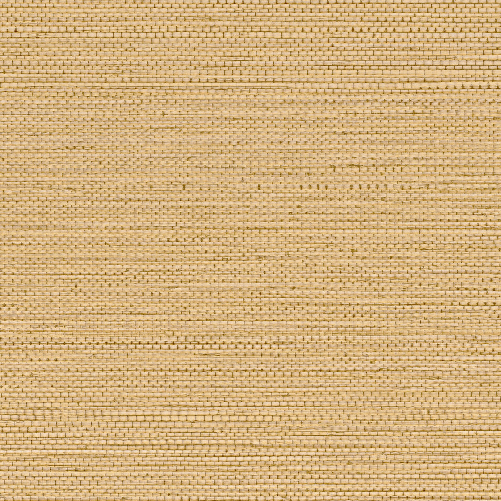 Casamance behang Golfe du Bengale Zostera 75971936 paille