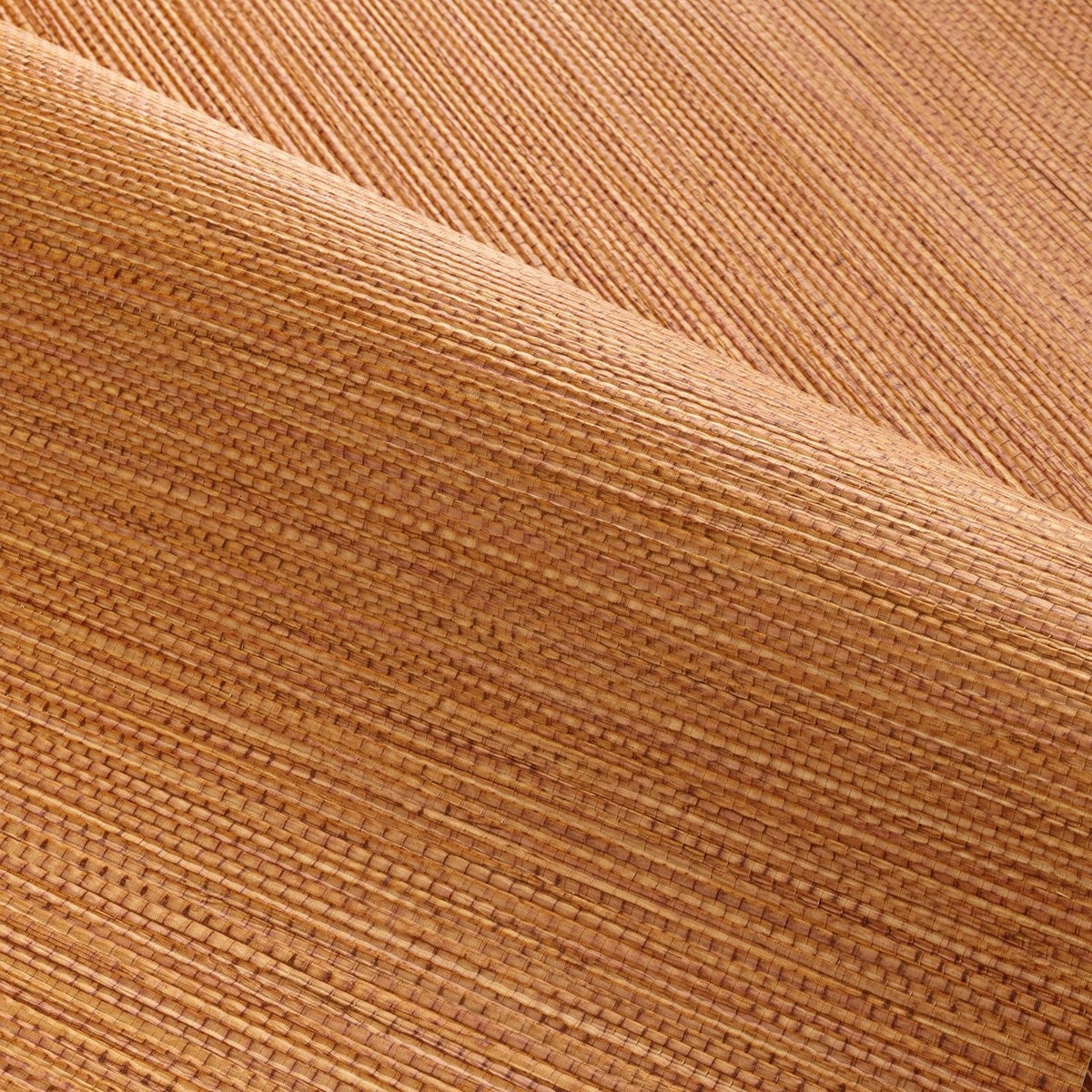 Casamance behang Golfe du Bengale Zostera 75972038 detail