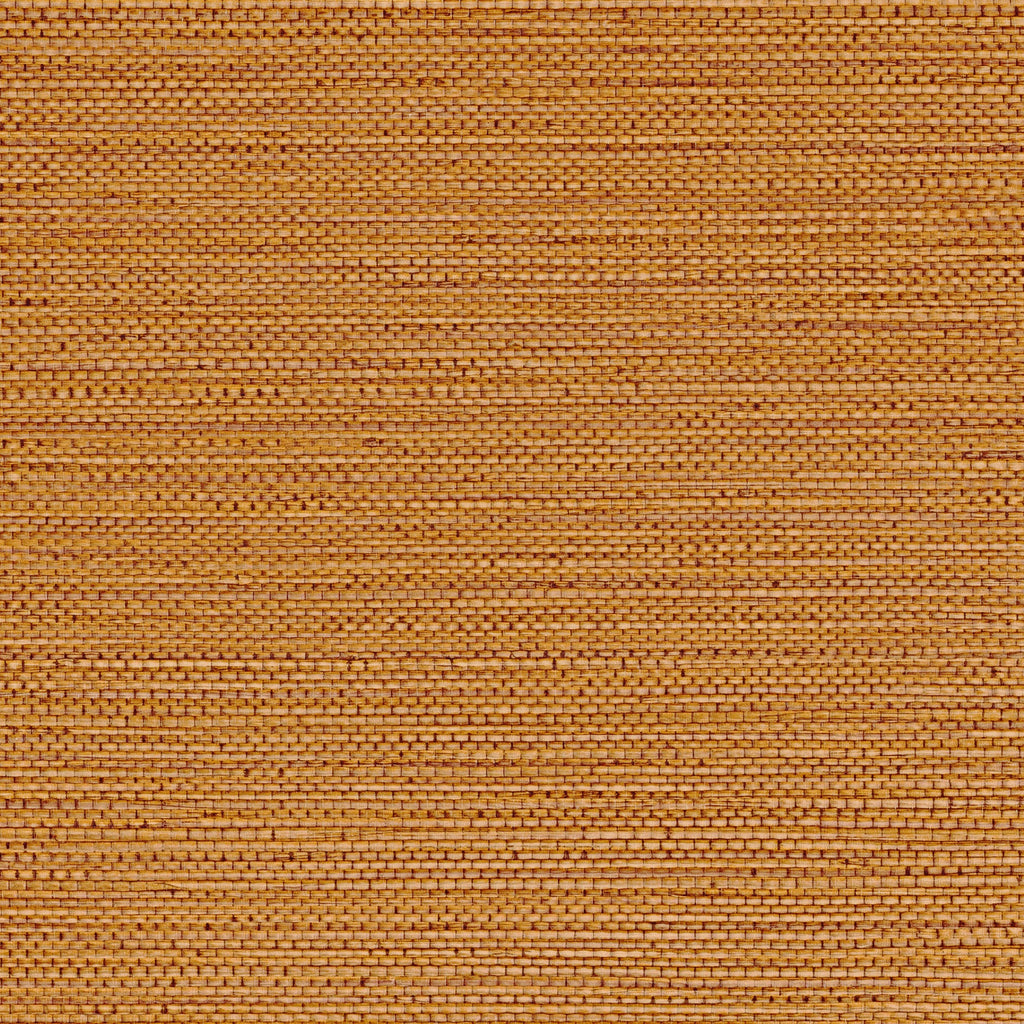 Casamance behang Golfe du Bengale Zostera 75972038 terre de sienne