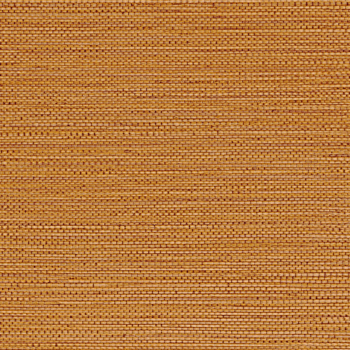 Casamance behang Golfe du Bengale Zostera 75972038 terre de sienne