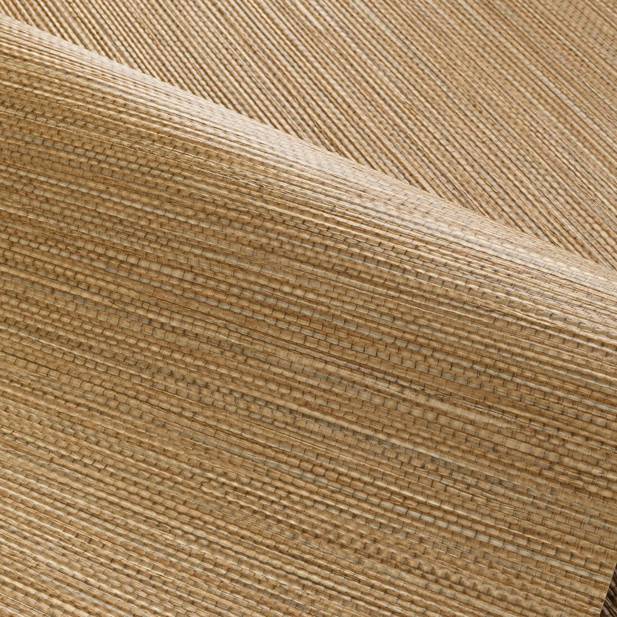 Casamance behang Golfe du Bengale Zostera 75972140 detail