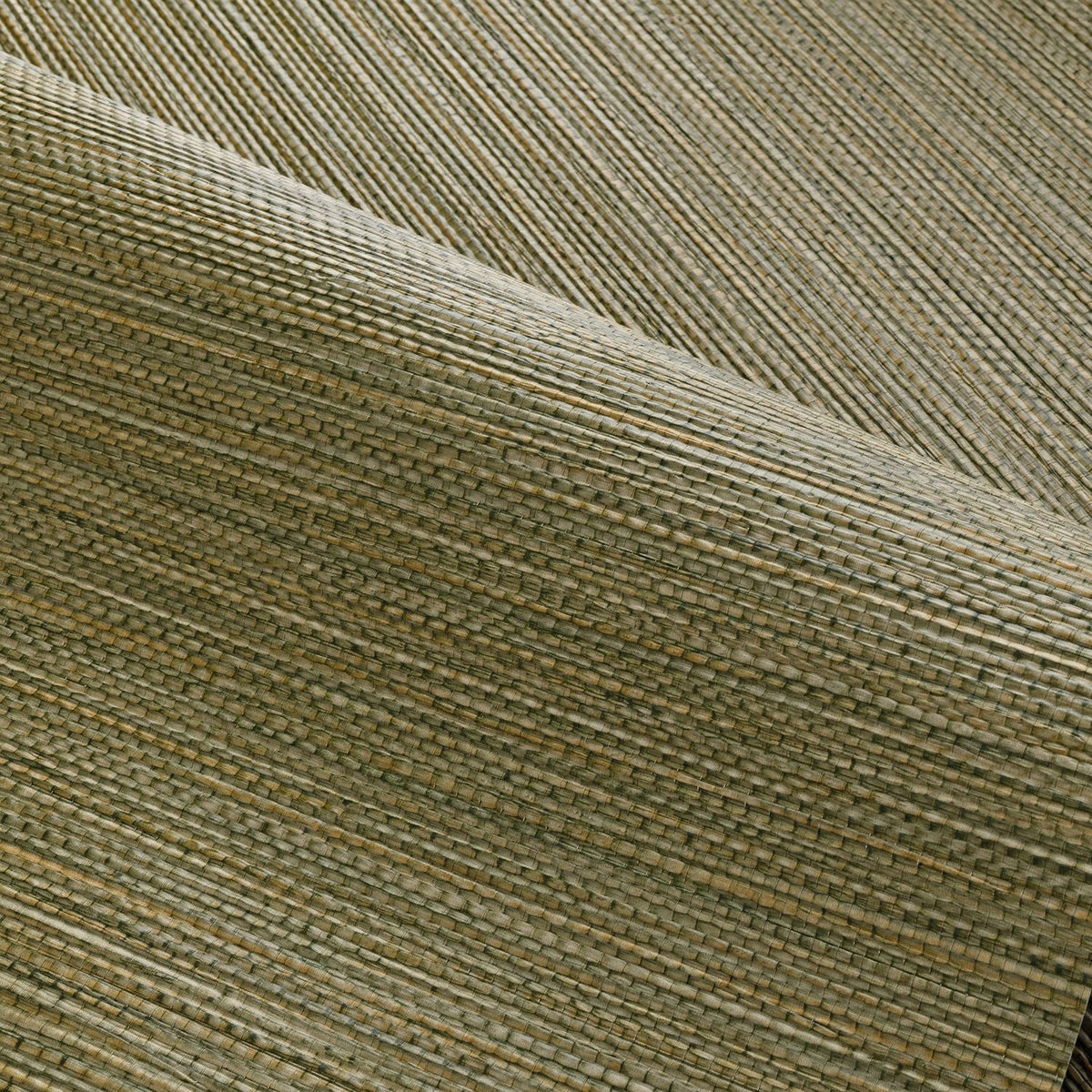 Casamance behang Golfe du Bengale Zostera 75972242 detail