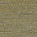 Casamance behang Golfe du Bengale Zostera 75972242 kaki