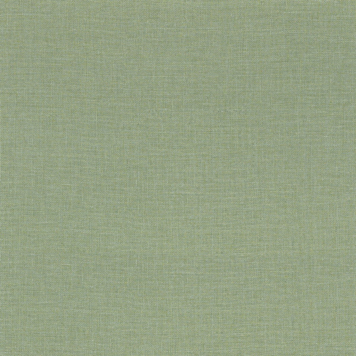Casamance behang Casa Azul Lienzo 76333772 cactus