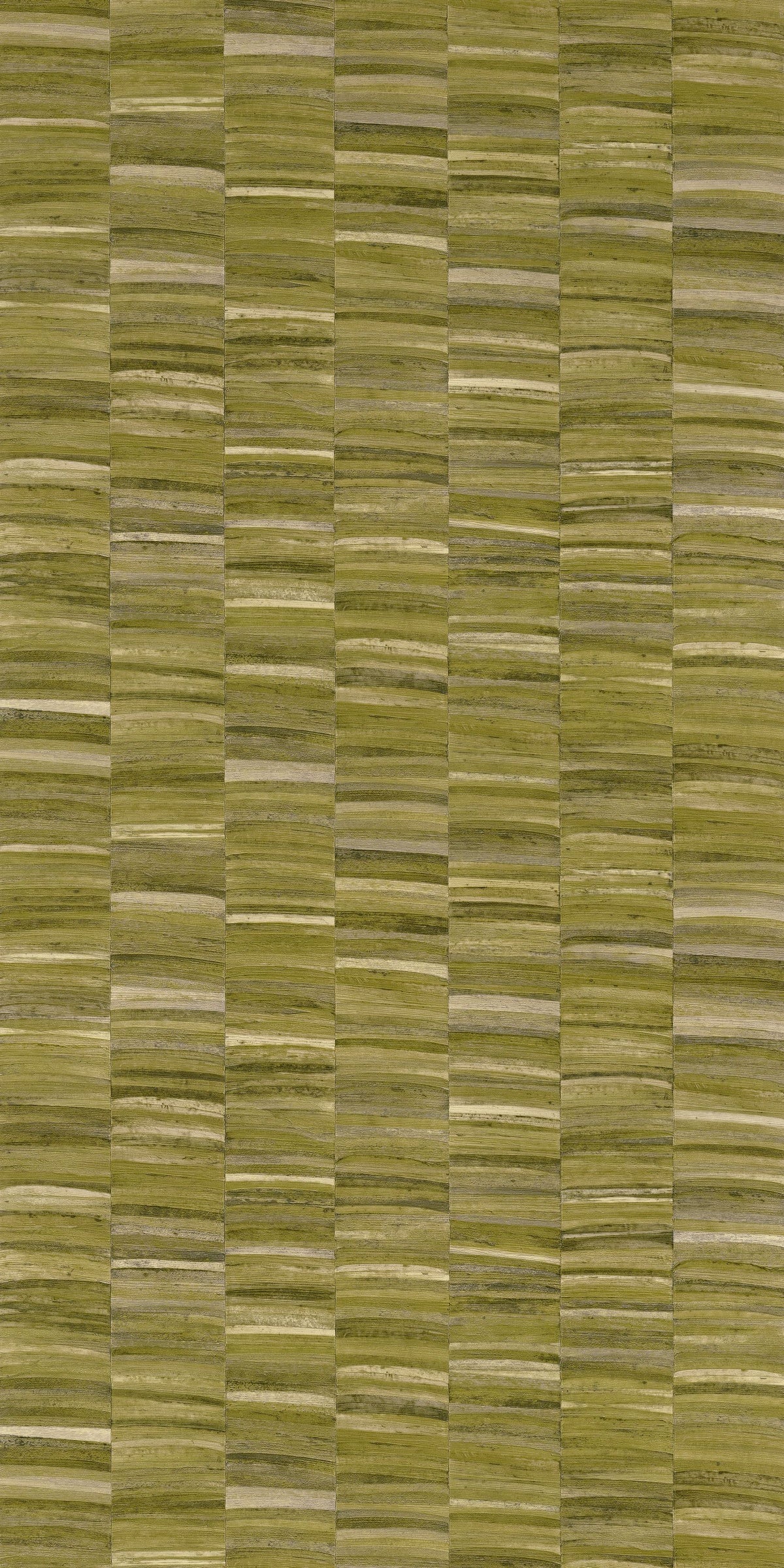 Casamance behang Textures Nature Précieuse Stylosa 76501528 olive