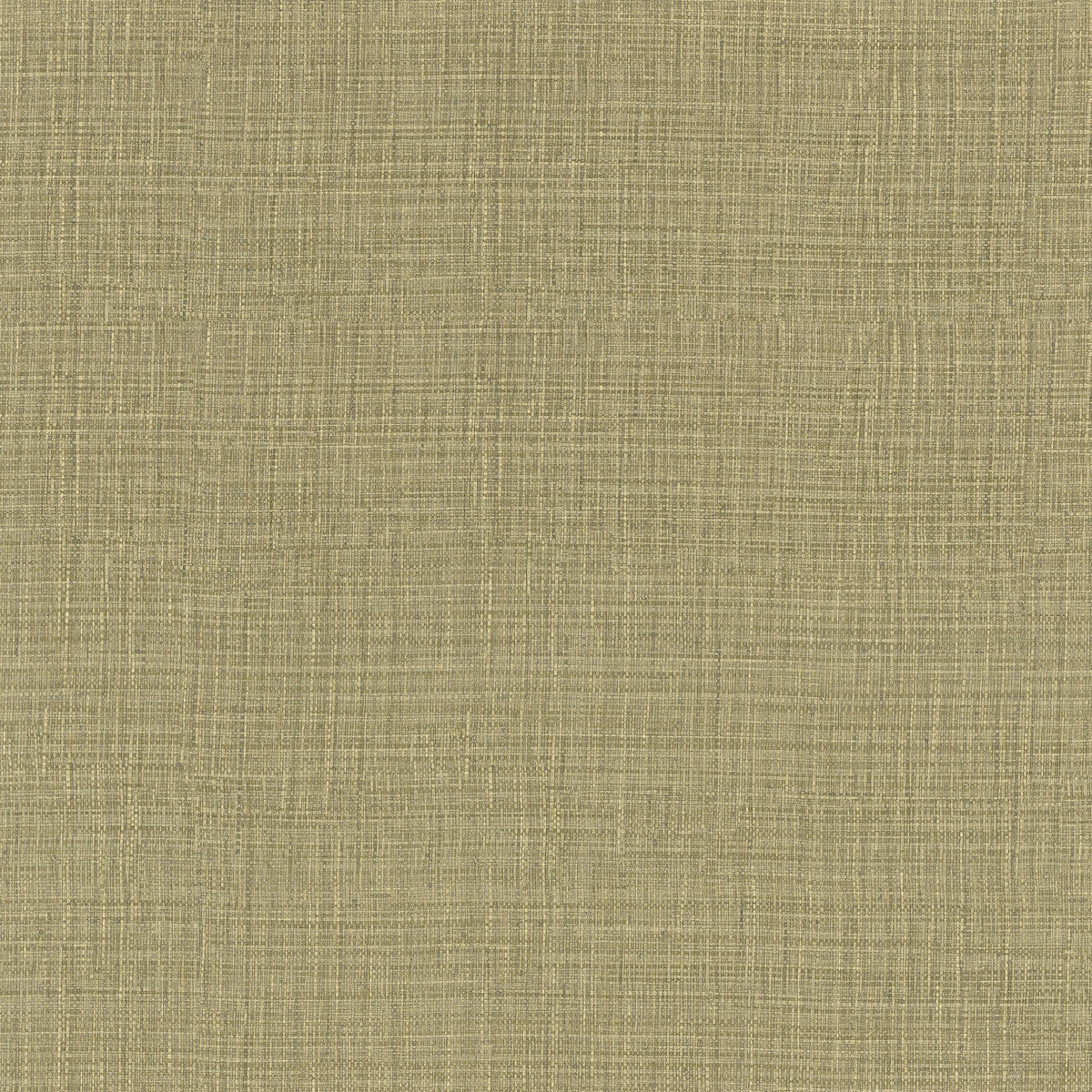 Casamance behang Palmadora Sierra 76703262 cactus