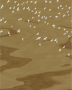 Casamance fotobehang Panoramas 4 Migration 76730508 doré, uitsnede
