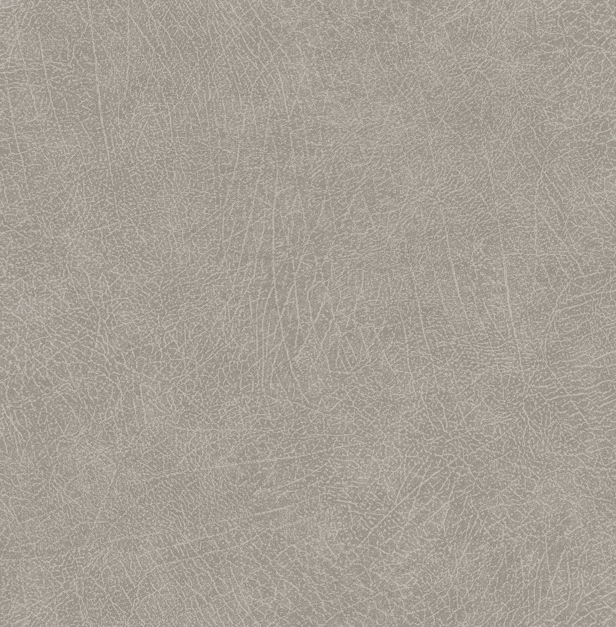 Eijffinger behang Skin 300512 elephant greige