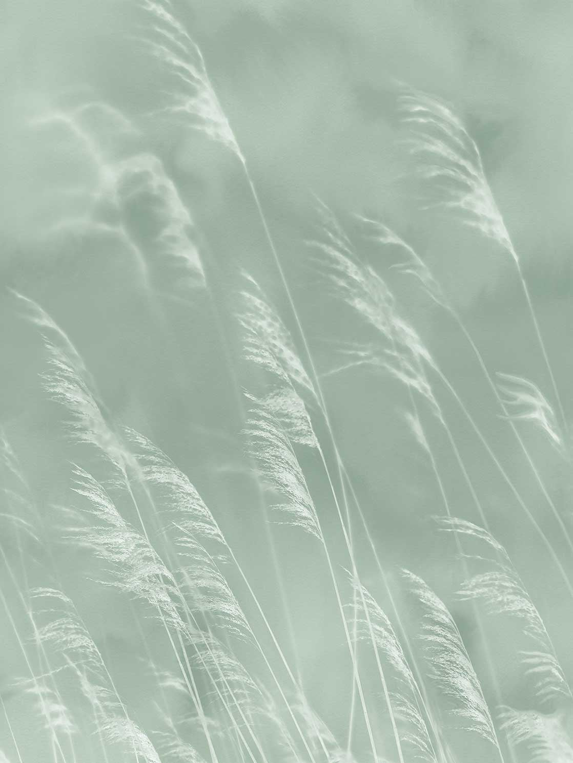 Eijffinger behang Waterfront 300901