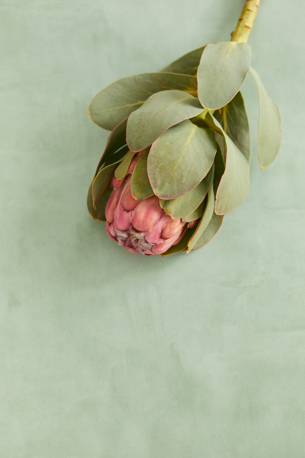 Eijffinger behang Unify 333221 in interieur