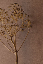 Eijffinger behang Rivièra Maison 350592 in interieur