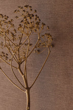 Eijffinger behang Rivièra Maison 350592 in interieur
