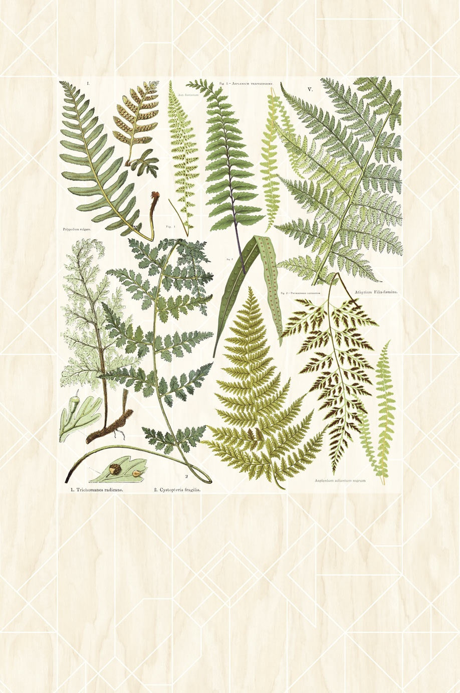 Eijffinger behang Geonature 366102 extra beeld in interieur