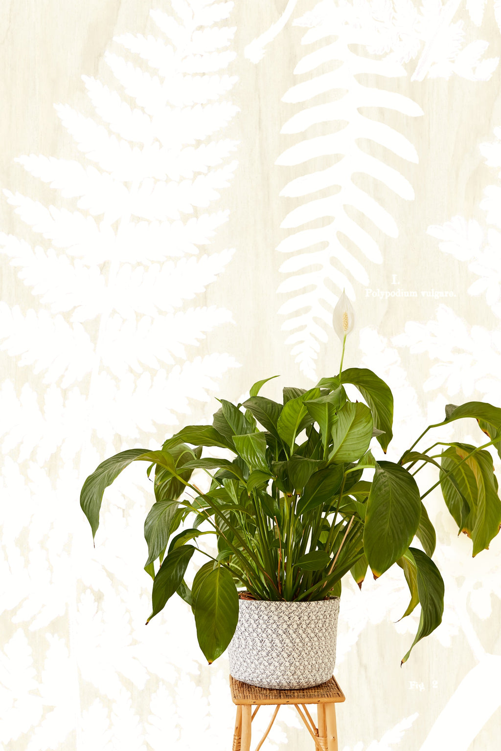 Eijffinger behang Geonature 366106 in interieur