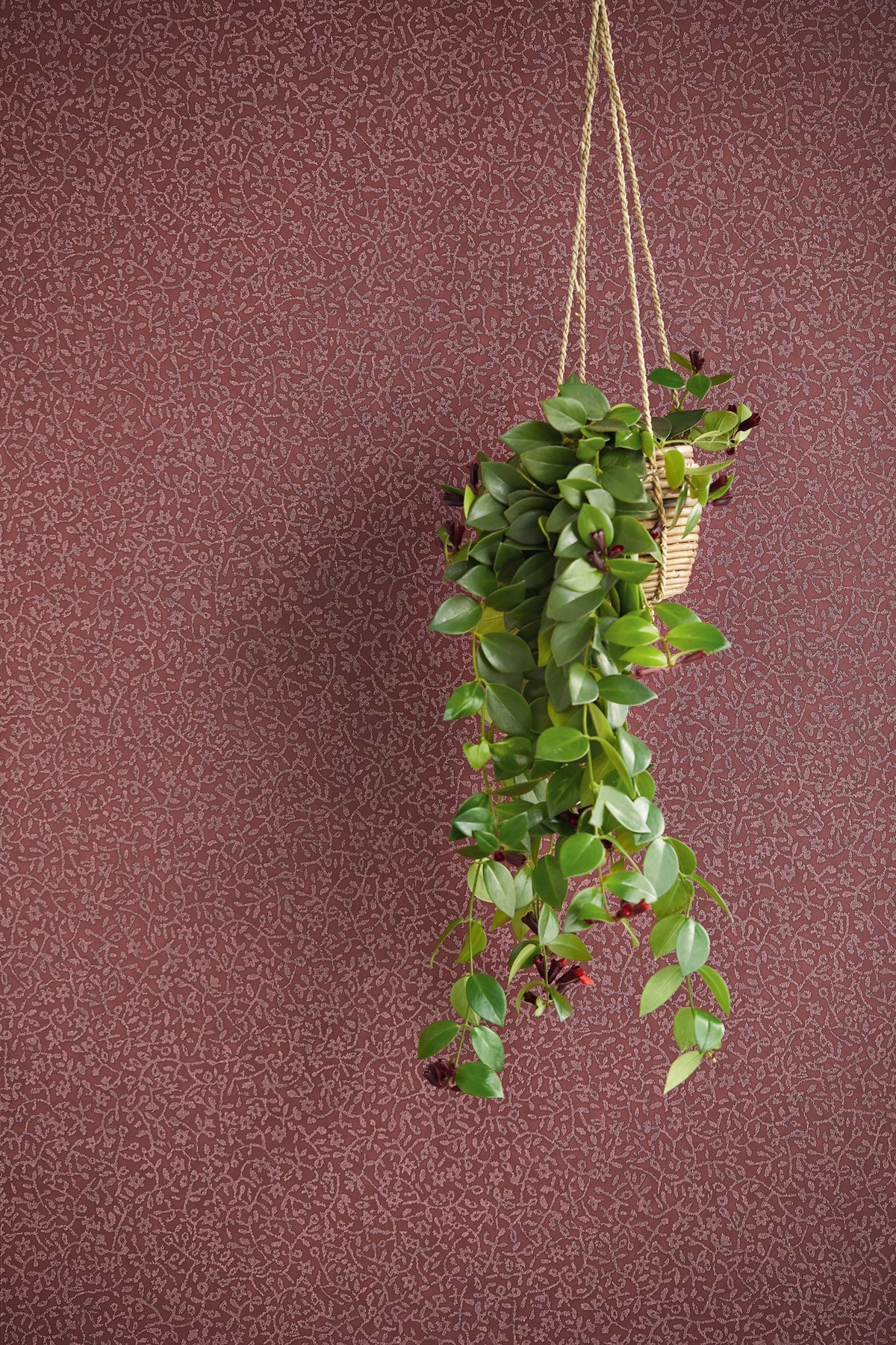Eijffinger behang Carmen 392543 in interieur