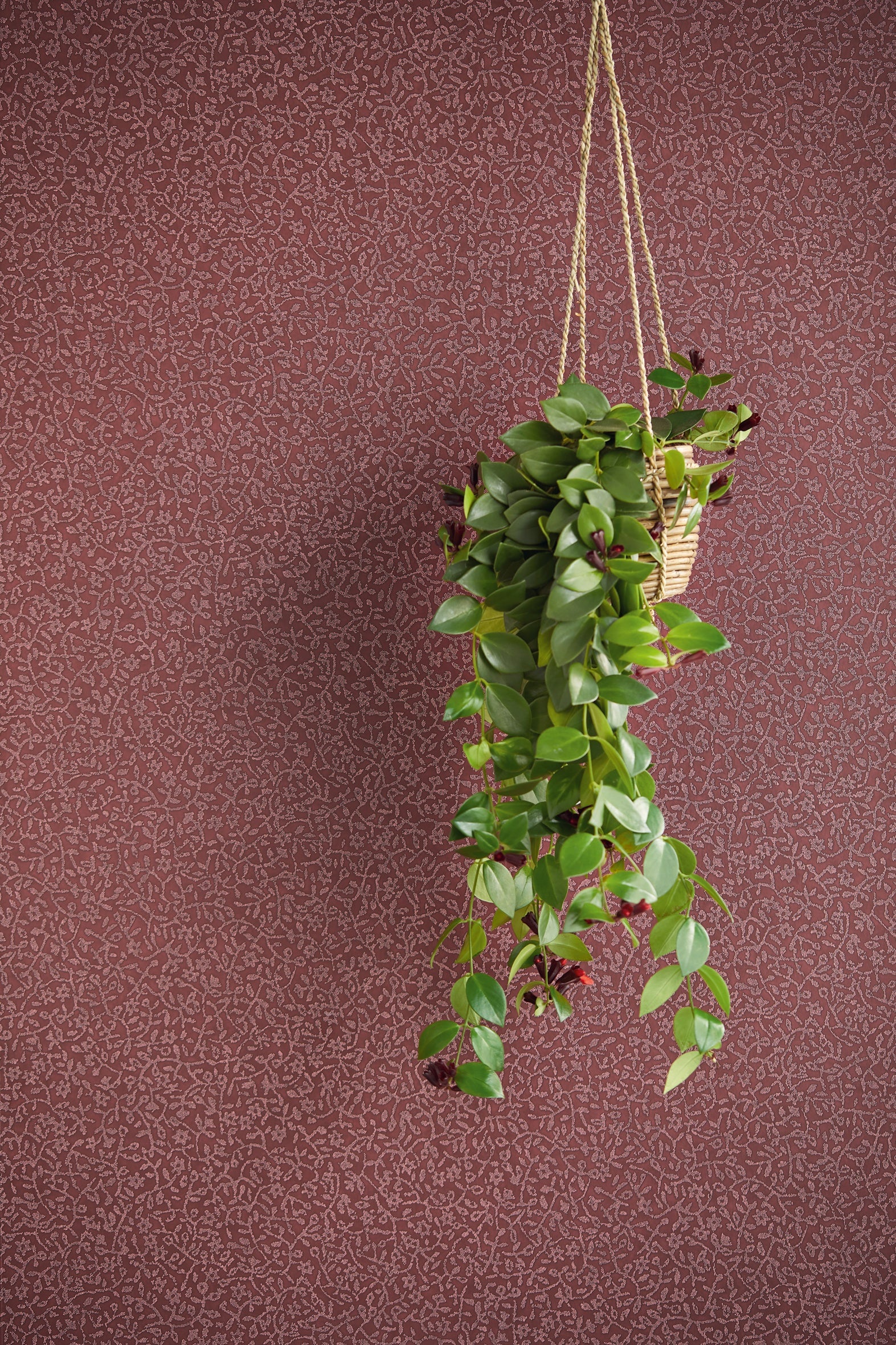 Eijffinger behang Carmen 392543 in interieur