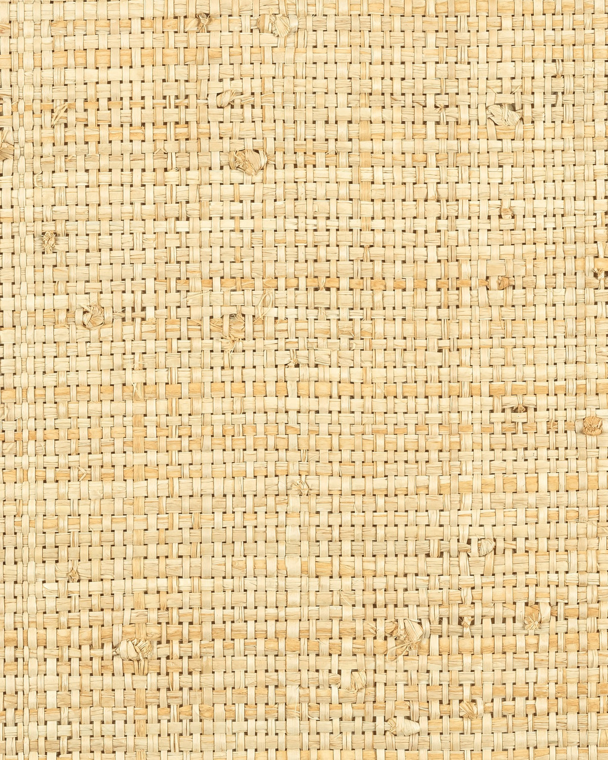 Élitis Origine Cesteria RM 1017 03 – dessin en kleur van dichtbij