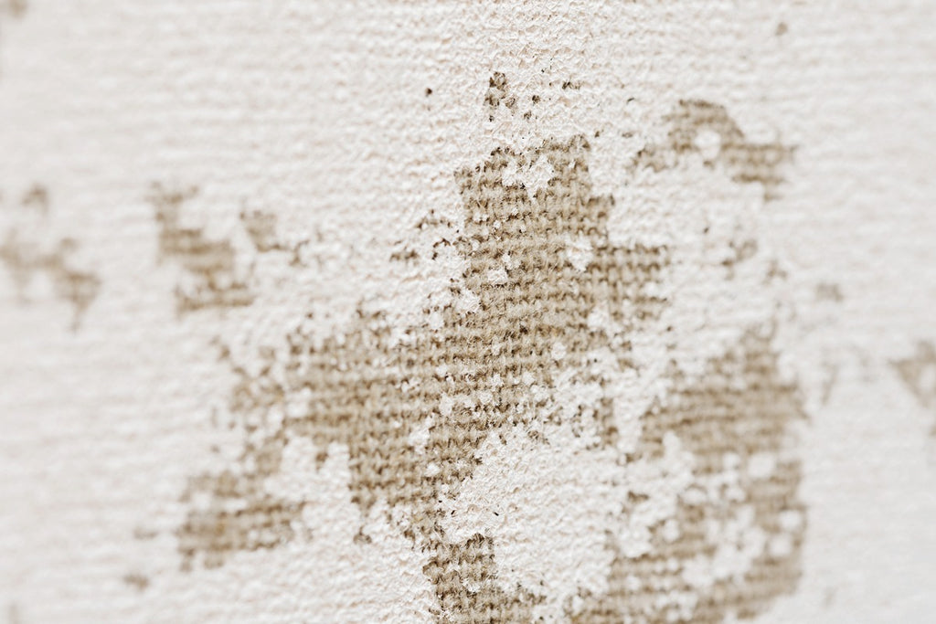 Élitis Lin Plâtré Toile d'artiste RM 1046 02 in een sfeervol interieur